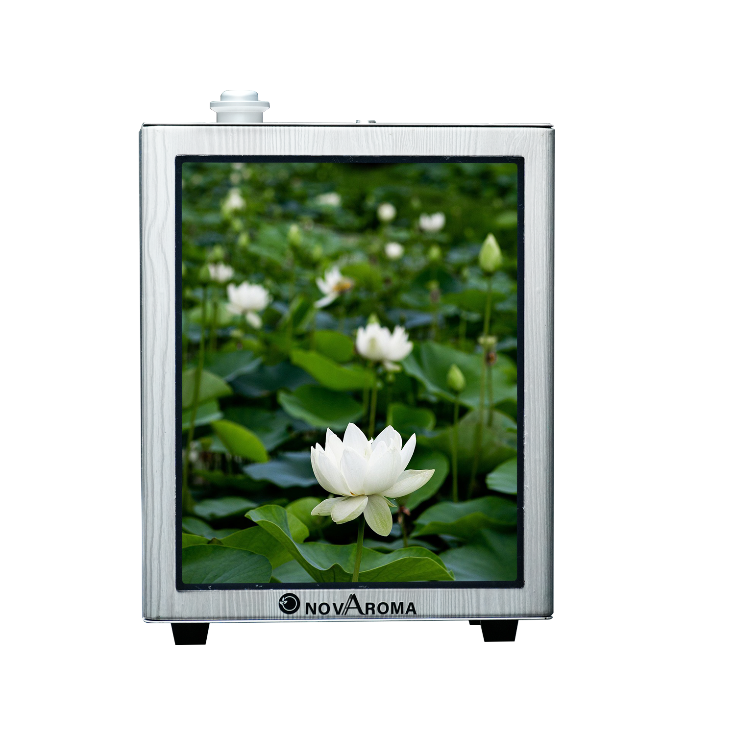 Nova Glow 150ML - Image 10